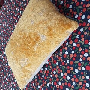 Golden Feather Pillow